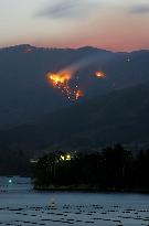 Forest fire in northeastern Japan