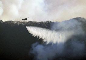 Forest fire in northeastern Japan