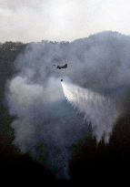 Forest fire in northeastern Japan