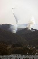 Forest fire in northeastern Japan