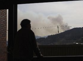 Forest fire in northeastern Japan