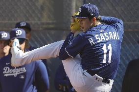 Baseball: MLB spring training