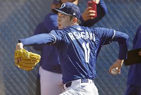 Baseball: MLB spring training