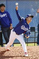 Baseball: MLB spring training