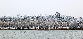 Heavy Snow Hit Sanmenxia