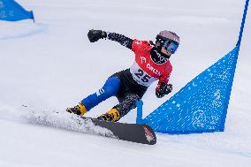 FIS Snowboard World Cup Krynica 2025 - Day 2