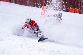 FIS Snowboard World Cup Krynica 2025 - Day 2