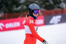 FIS Snowboard World Cup Krynica 2025 - Day 2