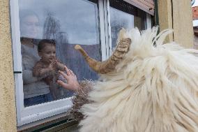 Buso Carnival - Hungary
