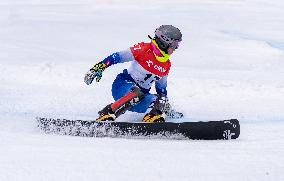 FIS Snowboard World Cup Krynica 2025 - Day 2