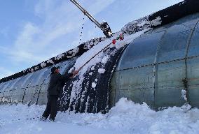 Heavy Snow Hit Binzhou