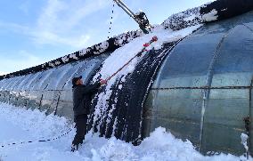 Heavy Snow Hit Binzhou