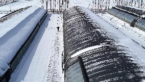 Heavy Snow Hit Binzhou