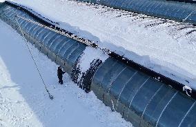 Heavy Snow Hit Binzhou
