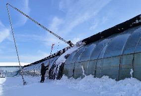 Heavy Snow Hit Binzhou