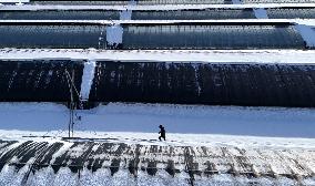 Heavy Snow Hit Binzhou