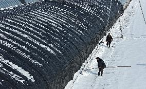 Heavy Snow Hit Binzhou