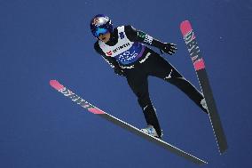 Skiing: Nordic World Ski Championships