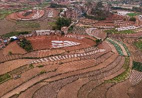 Spring Ploughing Fields in Nanning