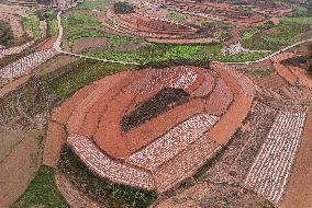 Spring Ploughing Fields in Nanning