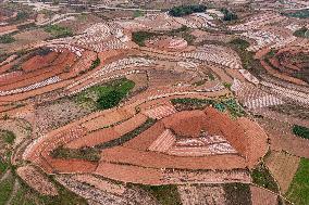 Spring Ploughing Fields in Nanning