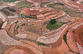 Spring Ploughing Fields in Nanning