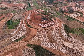 Spring Ploughing Fields in Nanning