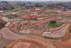 Spring Ploughing Fields in Nanning