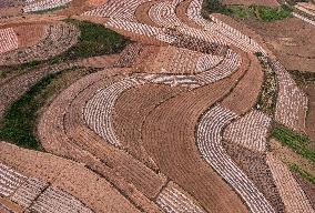 Spring Ploughing Fields in Nanning