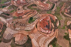 Spring Ploughing Fields in Nanning