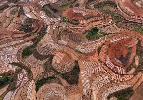 Spring Ploughing Fields in Nanning