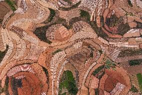 Spring Ploughing Fields in Nanning