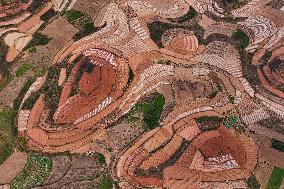 Spring Ploughing Fields in Nanning