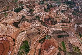 Spring Ploughing Fields in Nanning