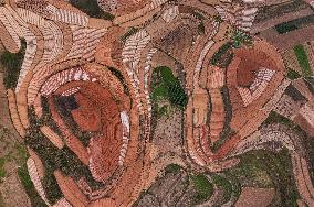 Spring Ploughing Fields in Nanning