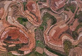 Spring Ploughing Fields in Nanning