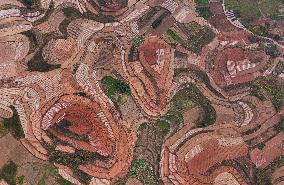 Spring Ploughing Fields in Nanning