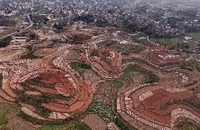 Spring Ploughing Fields in Nanning