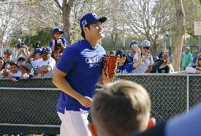 Baseball: MLB spring training