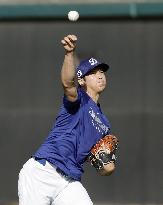 Baseball: MLB spring training