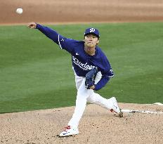 Baseball: MLB spring training