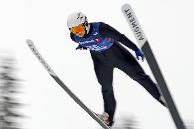 Skiing: Nordic World Ski Championships