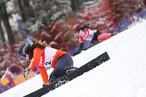 FIS Snowboard World Cup In Krynica-Zdroj