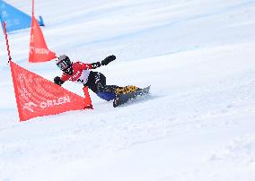 FIS Snowboard World Cup In Krynica-Zdroj