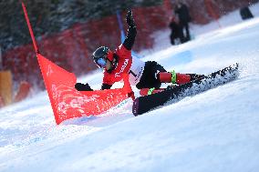 FIS Snowboard World Cup In Krynica-Zdroj