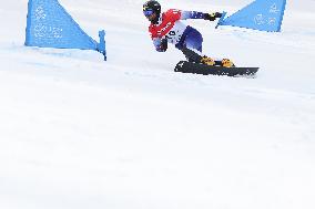 FIS Snowboard World Cup In Krynica-Zdroj