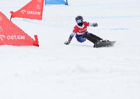 FIS Snowboard World Cup In Krynica-Zdroj