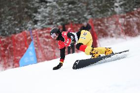 FIS Snowboard World Cup In Krynica-Zdroj