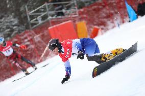 FIS Snowboard World Cup In Krynica-Zdroj