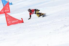 FIS Snowboard World Cup In Krynica-Zdroj